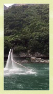 让动物飞一会