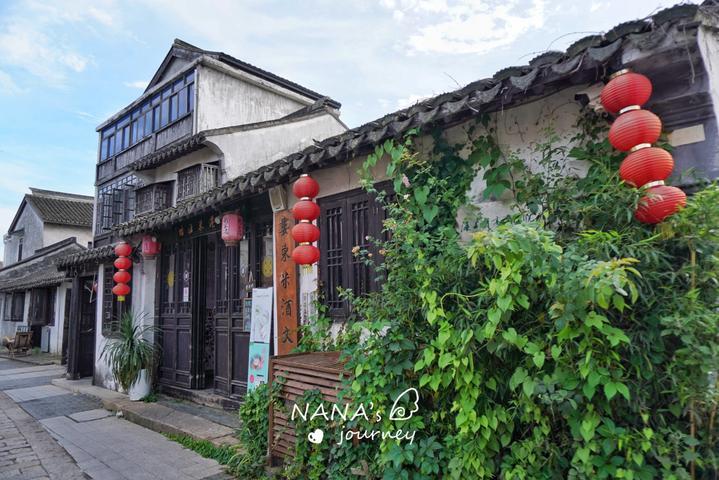 春雨直播app